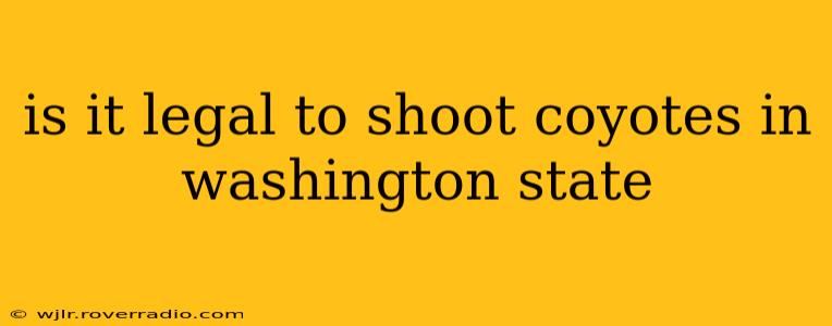 is it legal to shoot coyotes in washington state