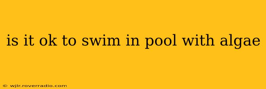 is it ok to swim in pool with algae