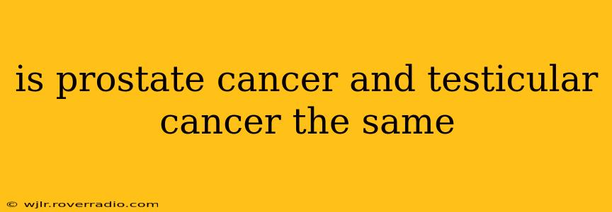 is prostate cancer and testicular cancer the same