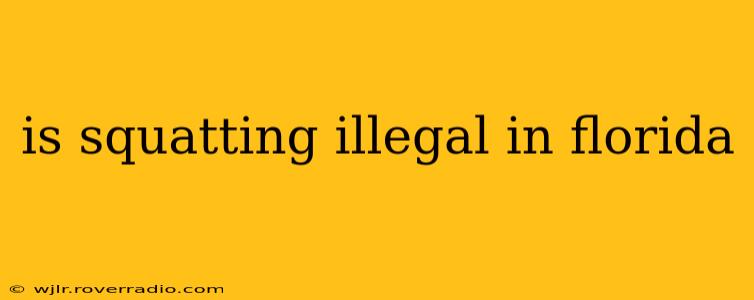 is squatting illegal in florida