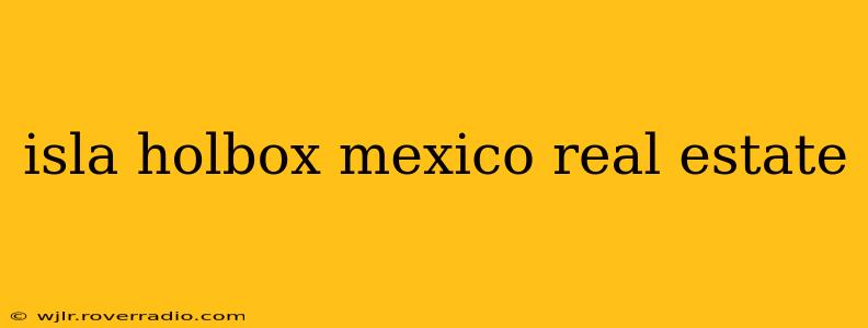 isla holbox mexico real estate