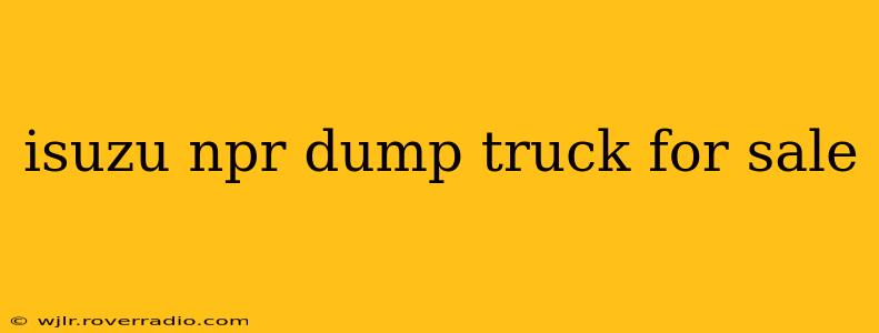 isuzu npr dump truck for sale