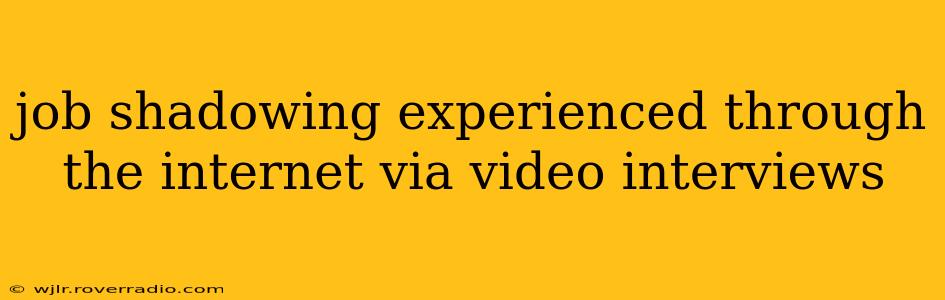 job shadowing experienced through the internet via video interviews