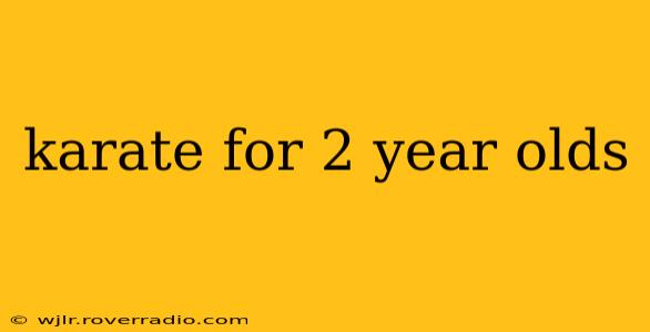karate for 2 year olds