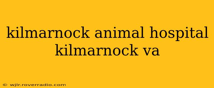 kilmarnock animal hospital kilmarnock va
