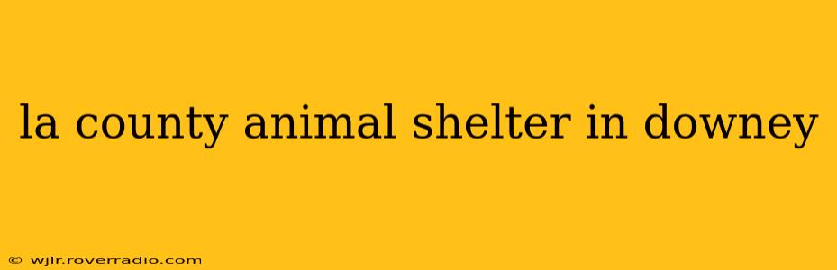 la county animal shelter in downey
