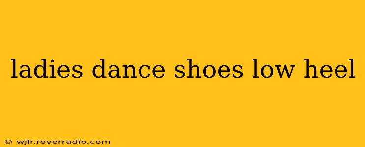 ladies dance shoes low heel