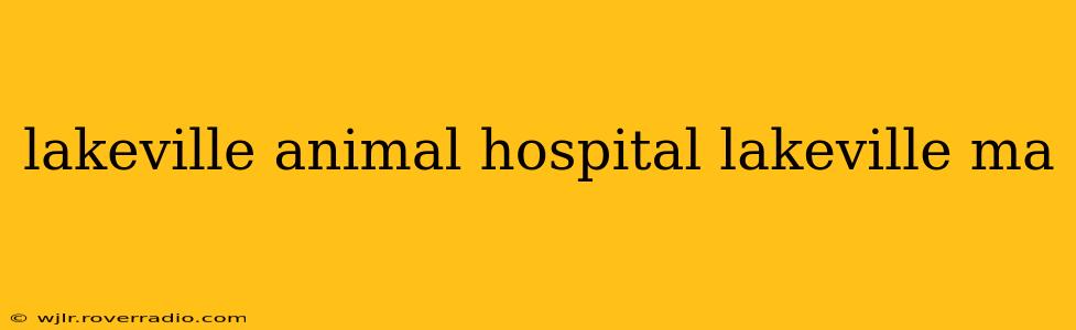 lakeville animal hospital lakeville ma