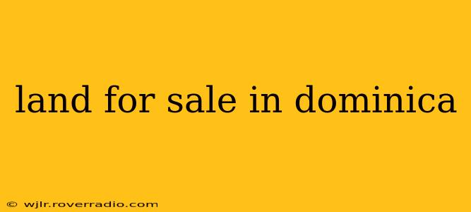 land for sale in dominica