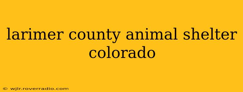 larimer county animal shelter colorado