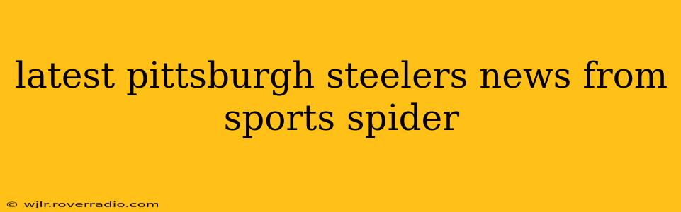 latest pittsburgh steelers news from sports spider