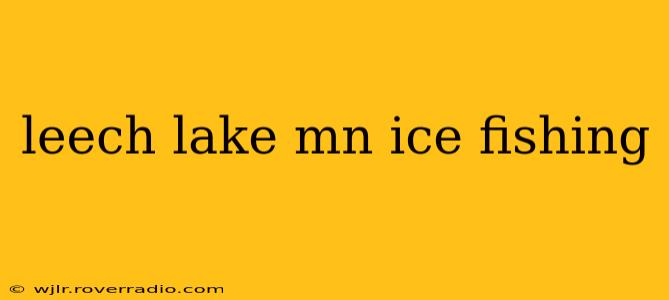 leech lake mn ice fishing