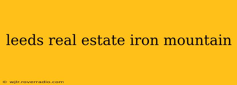 leeds real estate iron mountain