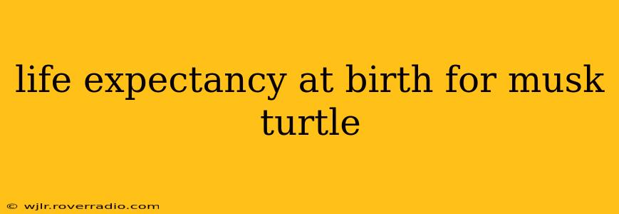 life expectancy at birth for musk turtle