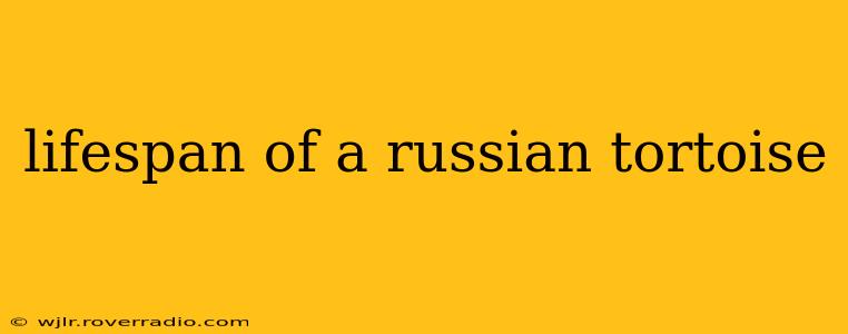 lifespan of a russian tortoise