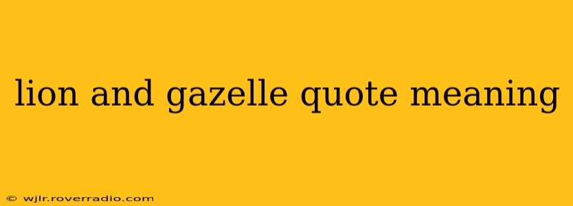 lion and gazelle quote meaning