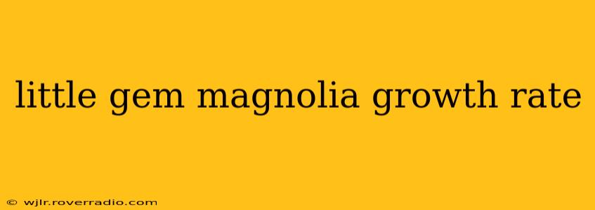 little gem magnolia growth rate