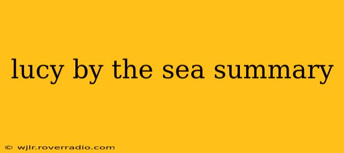 lucy by the sea summary