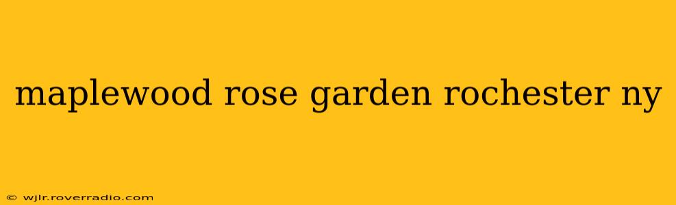 maplewood rose garden rochester ny
