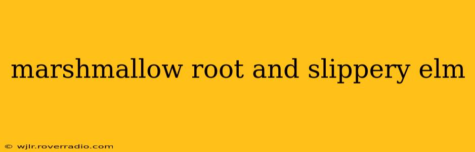 marshmallow root and slippery elm