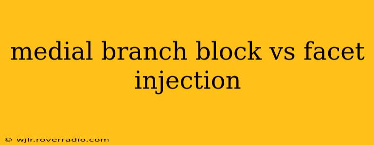 medial branch block vs facet injection