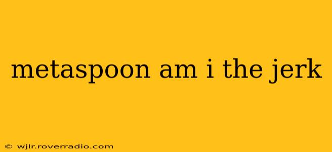 metaspoon am i the jerk