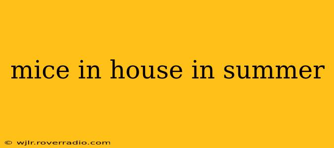 mice in house in summer