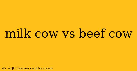 milk cow vs beef cow