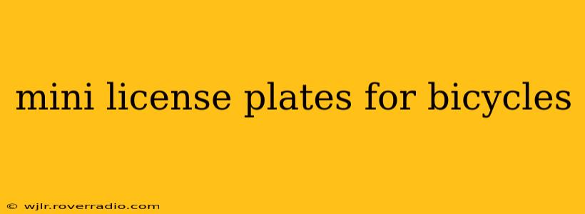 mini license plates for bicycles