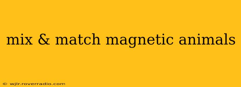 mix & match magnetic animals