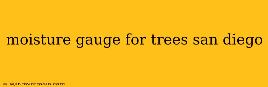 moisture gauge for trees san diego
