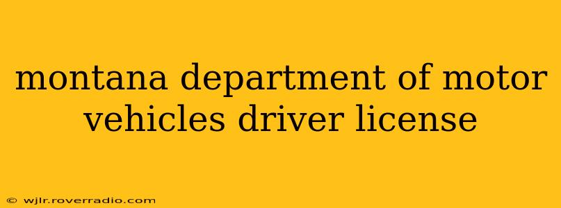 montana department of motor vehicles driver license