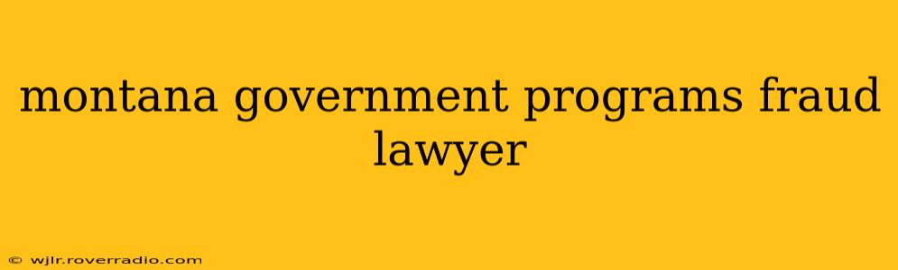 montana government programs fraud lawyer