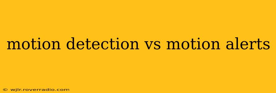 motion detection vs motion alerts