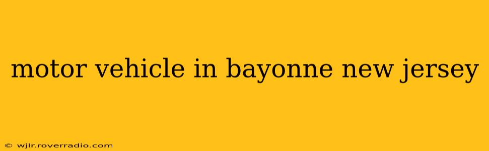 motor vehicle in bayonne new jersey