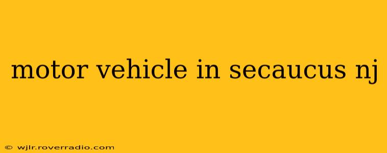 motor vehicle in secaucus nj