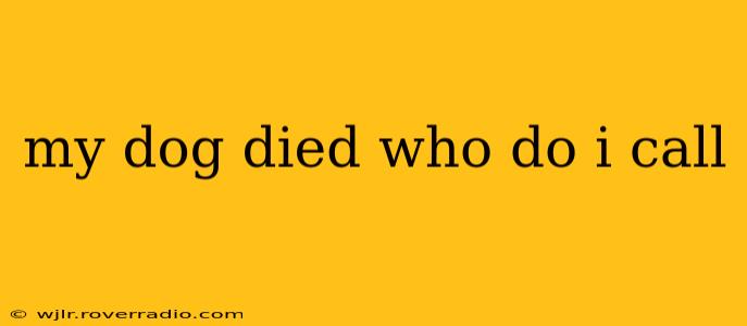 my dog died who do i call