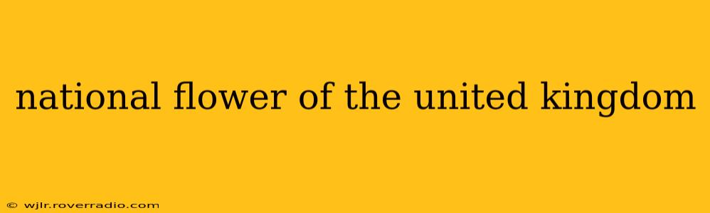 national flower of the united kingdom