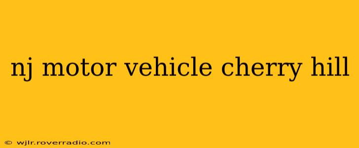 nj motor vehicle cherry hill
