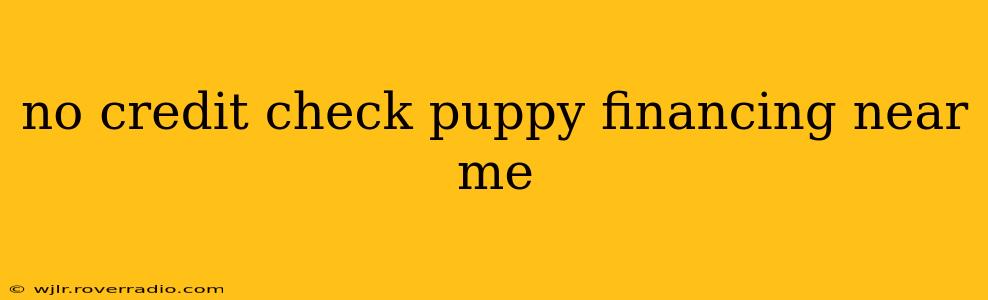 no credit check puppy financing near me