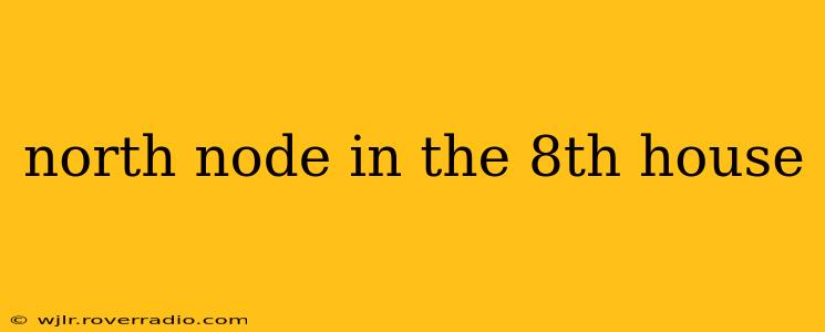 north node in the 8th house