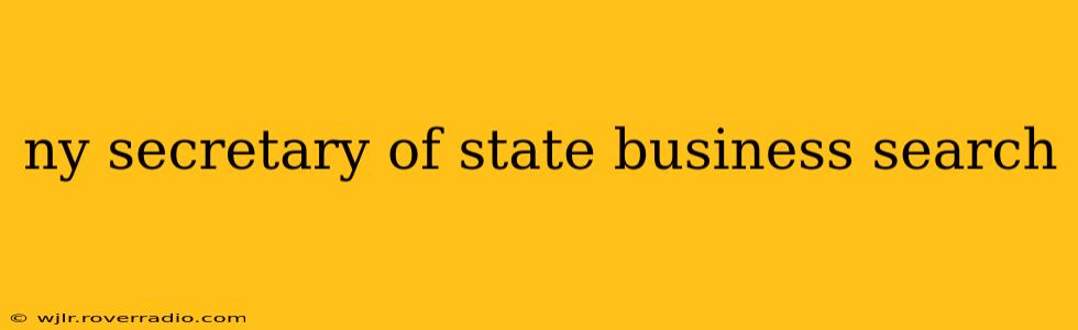 ny secretary of state business search