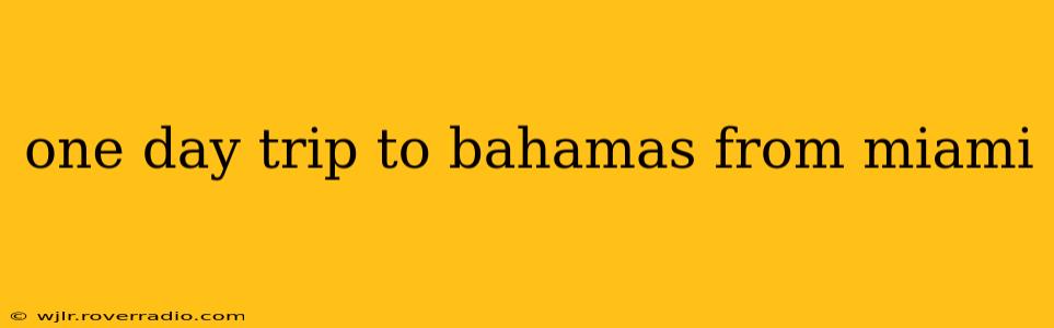 one day trip to bahamas from miami