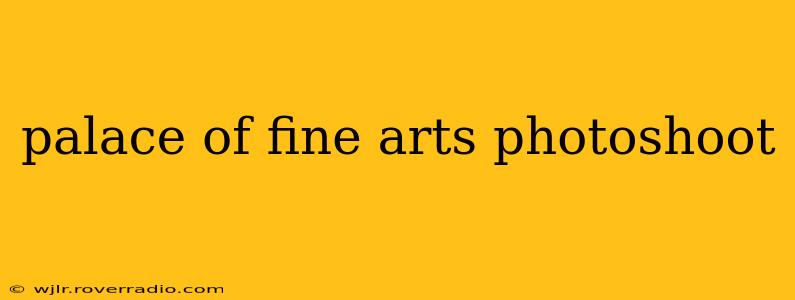 palace of fine arts photoshoot