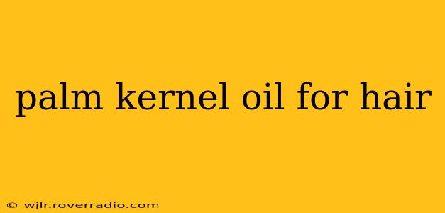 palm kernel oil for hair