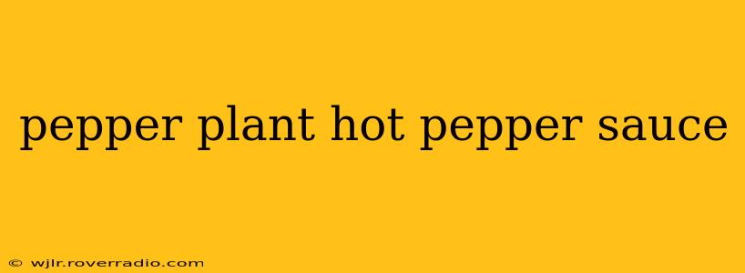 pepper plant hot pepper sauce