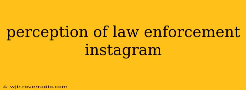 perception of law enforcement instagram