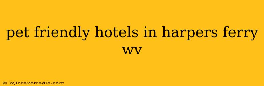 pet friendly hotels in harpers ferry wv