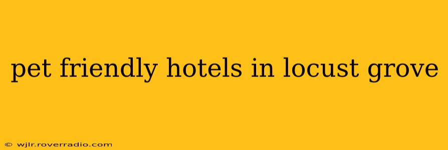 pet friendly hotels in locust grove