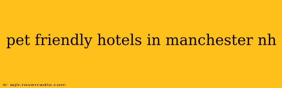 pet friendly hotels in manchester nh